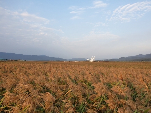 ���� ����7