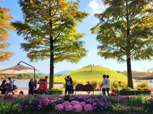 ���� ����3