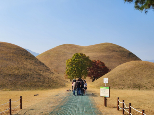 ���� ����6