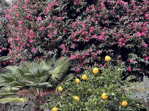 ���� ����3