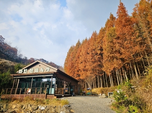 여행 사진6