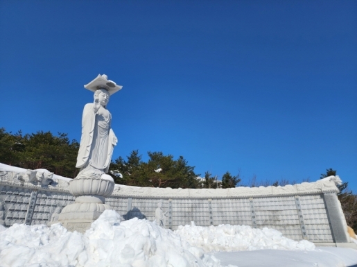 ���� ����4