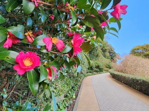 ���� ����2