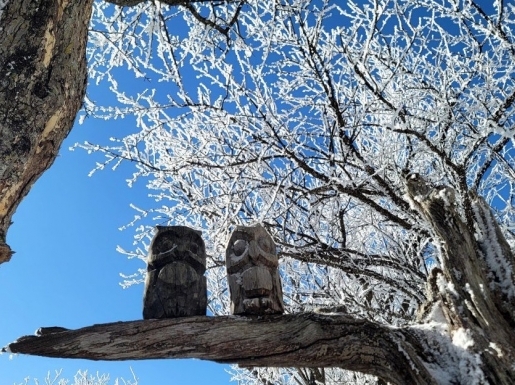 ���� ����2