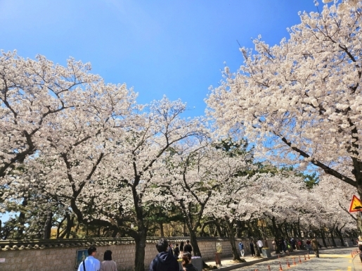 ���� ����2