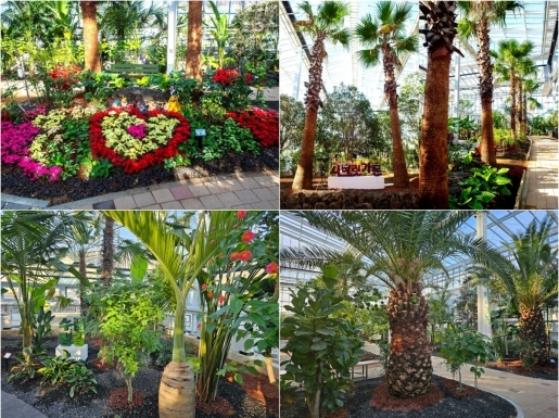 ���� ����5