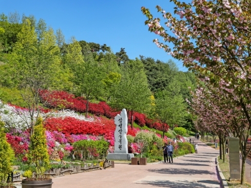 ���� ����5