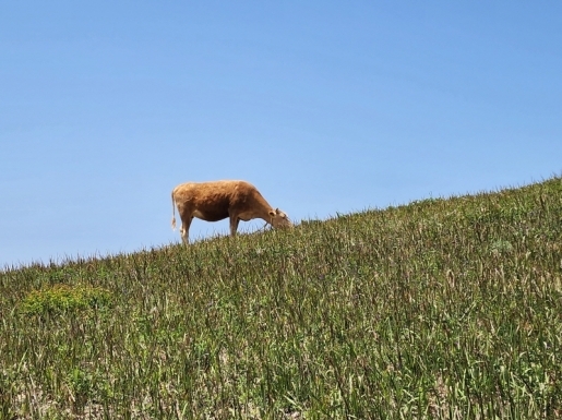 ���� ����5