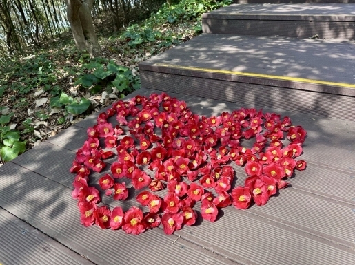 ���� ����2