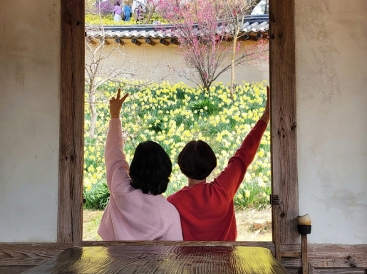 ���� ����7