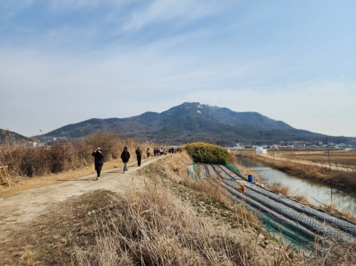 ���� ����5