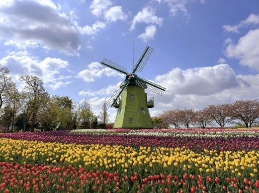 ���� ����3