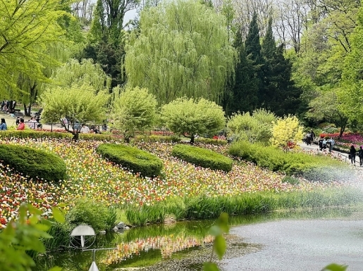 ���� ����2