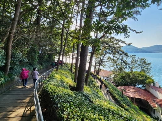 ���� ����5