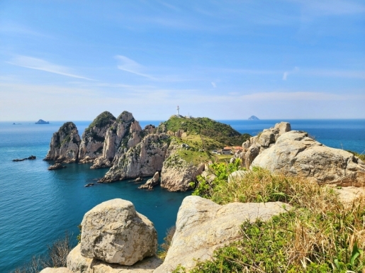 ���� ����3