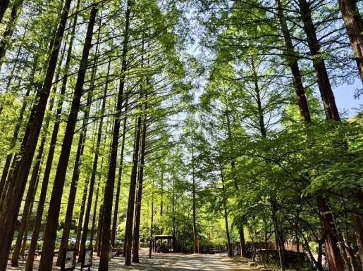 ���� ����5