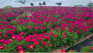 ���� ����2