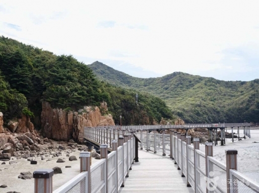 ���� ����7