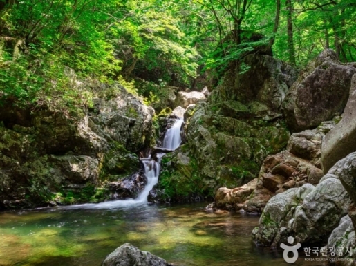 ���� ����6