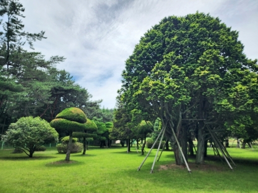 ���� ����7