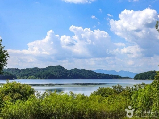 ���� ����6