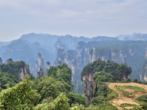 ���� ����2