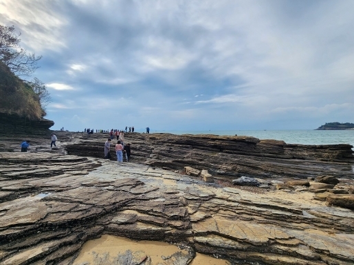 ���� ����5