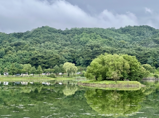 ���� ����4