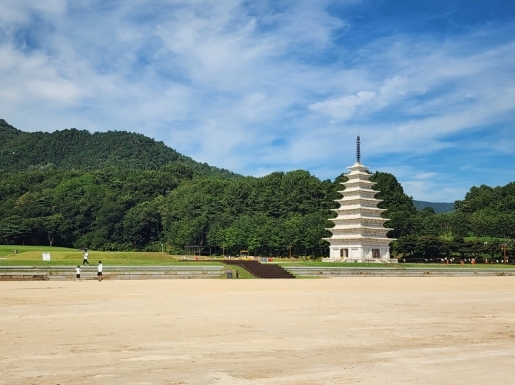 ���� ����5