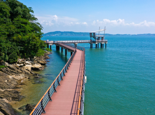 ���� ����2