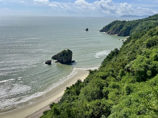 ���� ����3