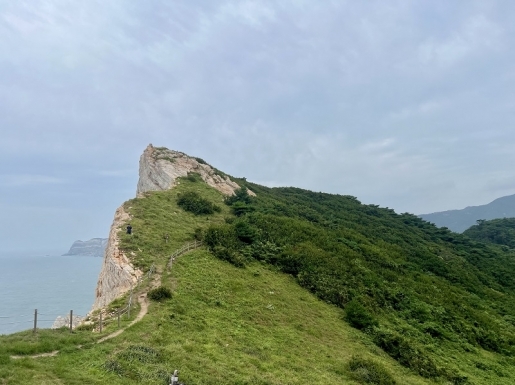 ���� ����2