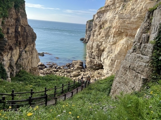 ���� ����3