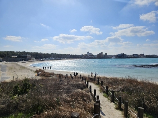 ���� ����2