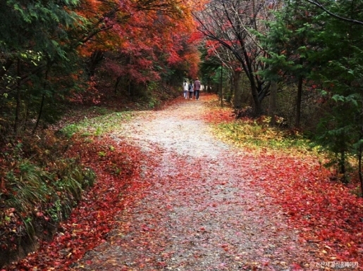 여행 사진3