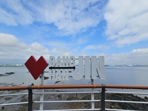 ���� ����3