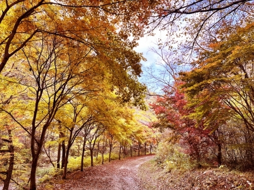 여행 사진2