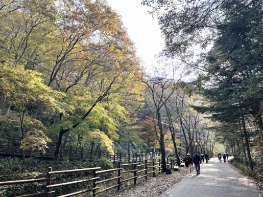 여행 사진2