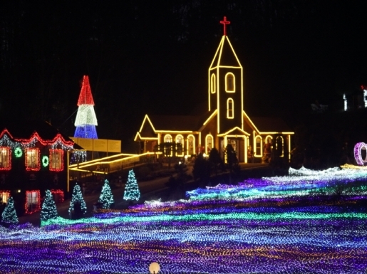 ���� ����3