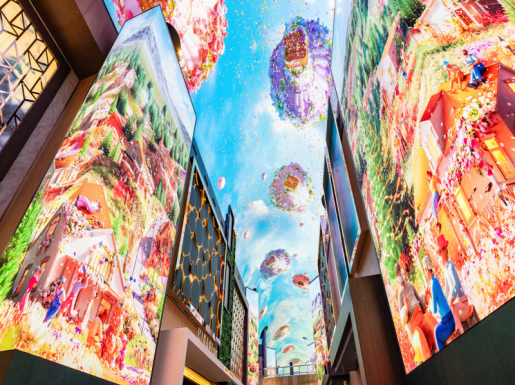 ���� ����3