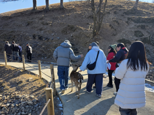 ���� ����6