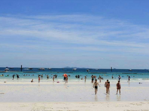 ���� ����3