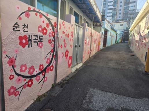 ���� ����3