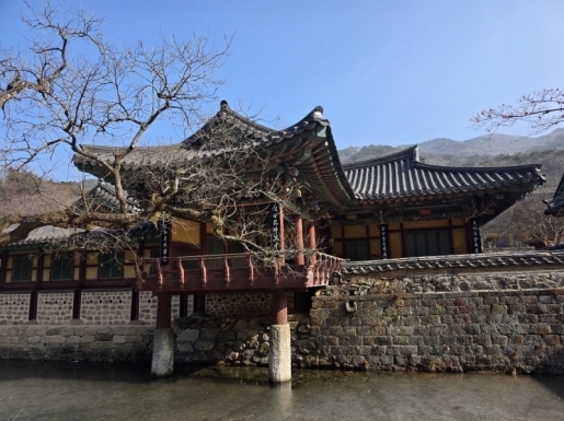 ���� ����4