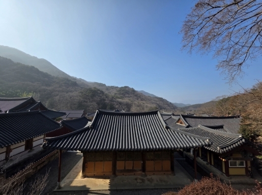 ���� ����6