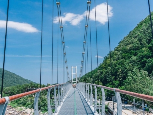 ���� ����5