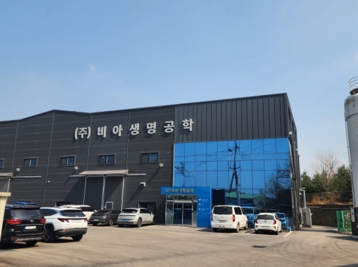 ���� ����4