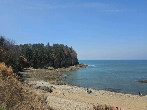 ���� ����3