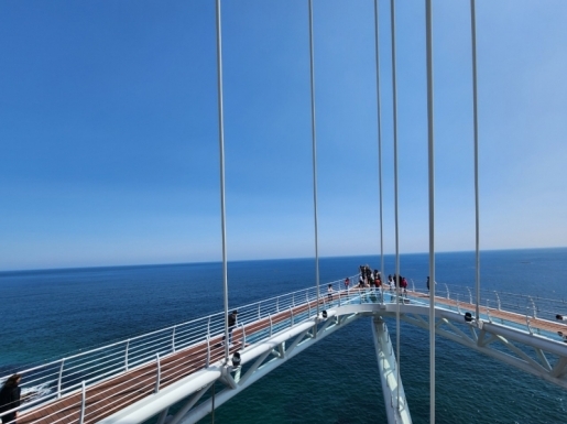 ���� ����5