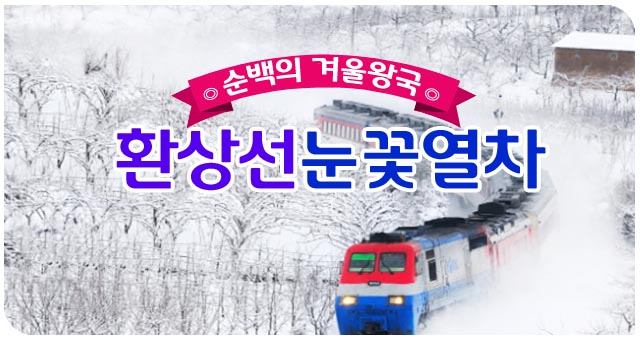 ȯ�� ���ɿ���